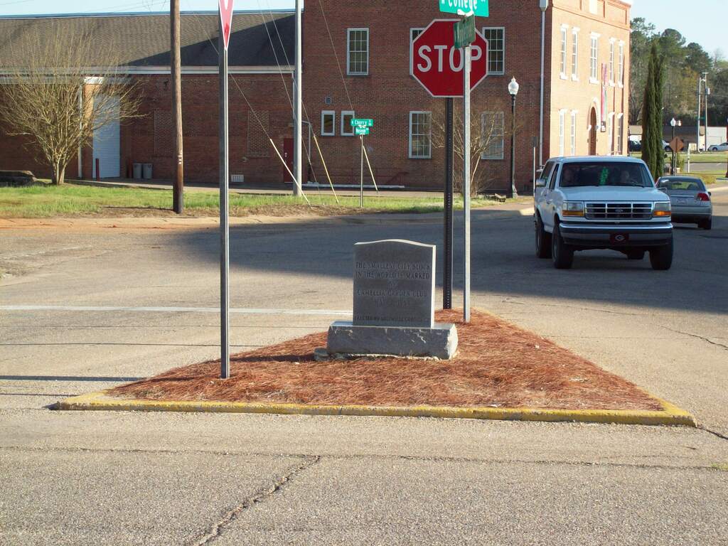 Worlds smallest block 01