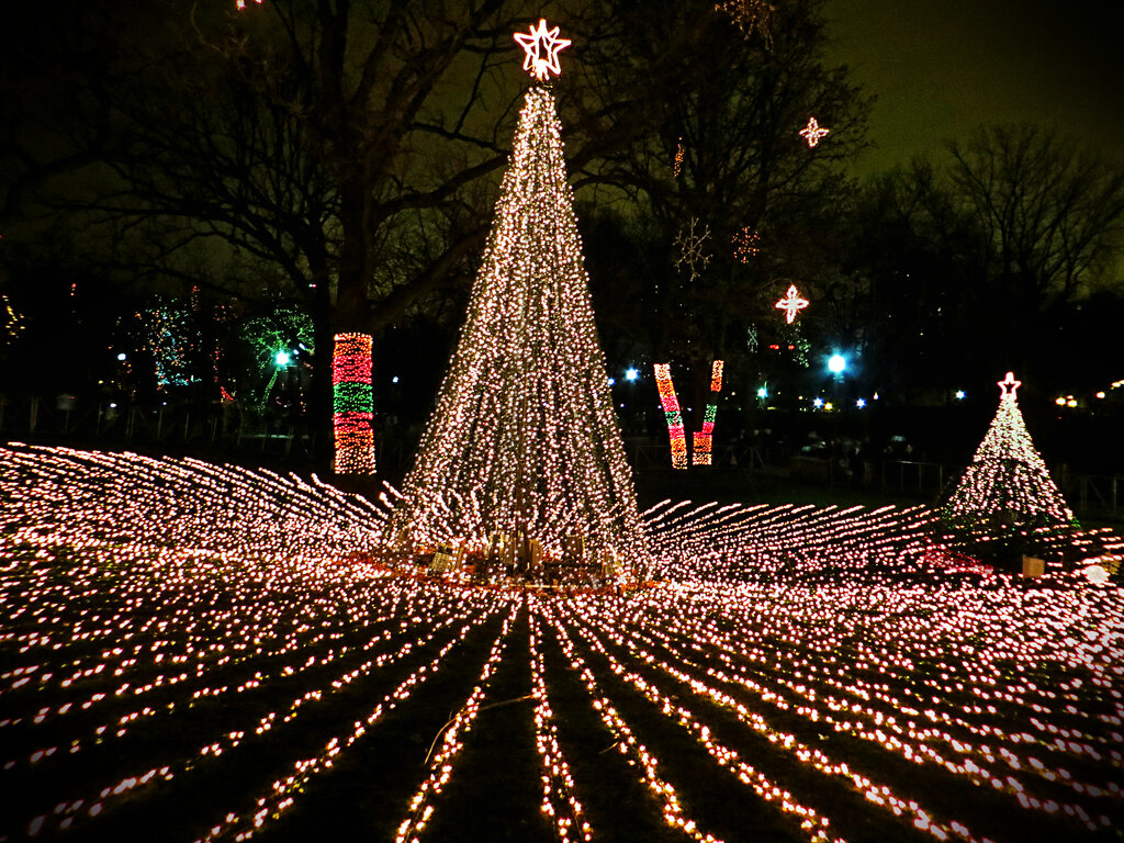 Holiday Zoo Lights (8286794332)
