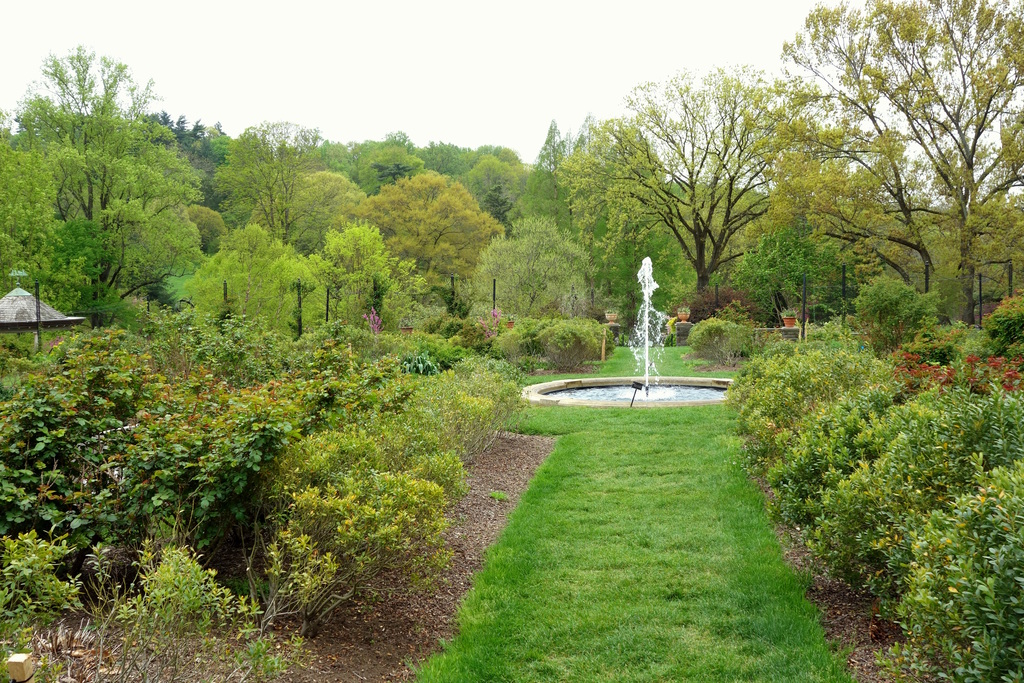 Morris Arboretum - DSC00231