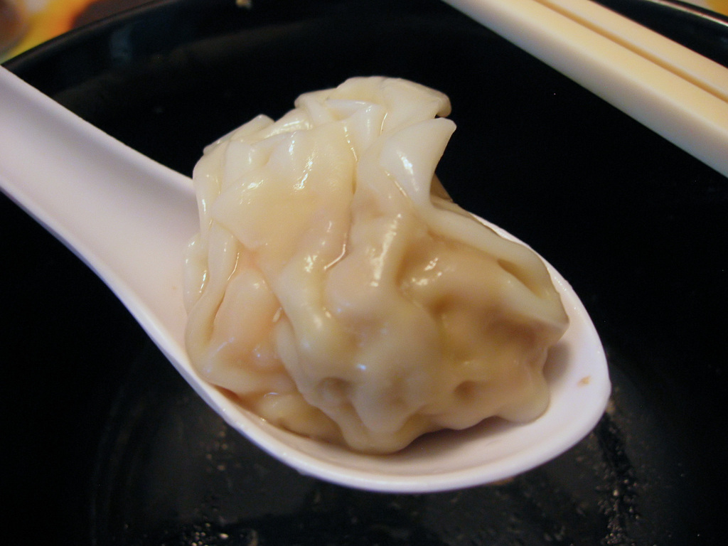 Wonton 1