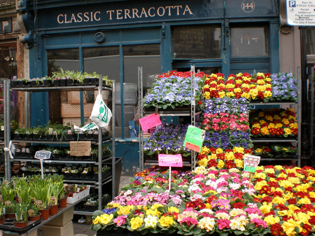 Columbia Road Flower Market