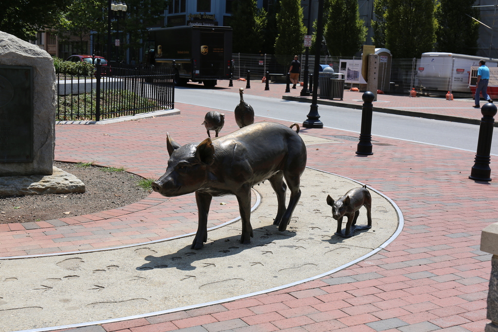 Urban Trail in downtown Asheville
