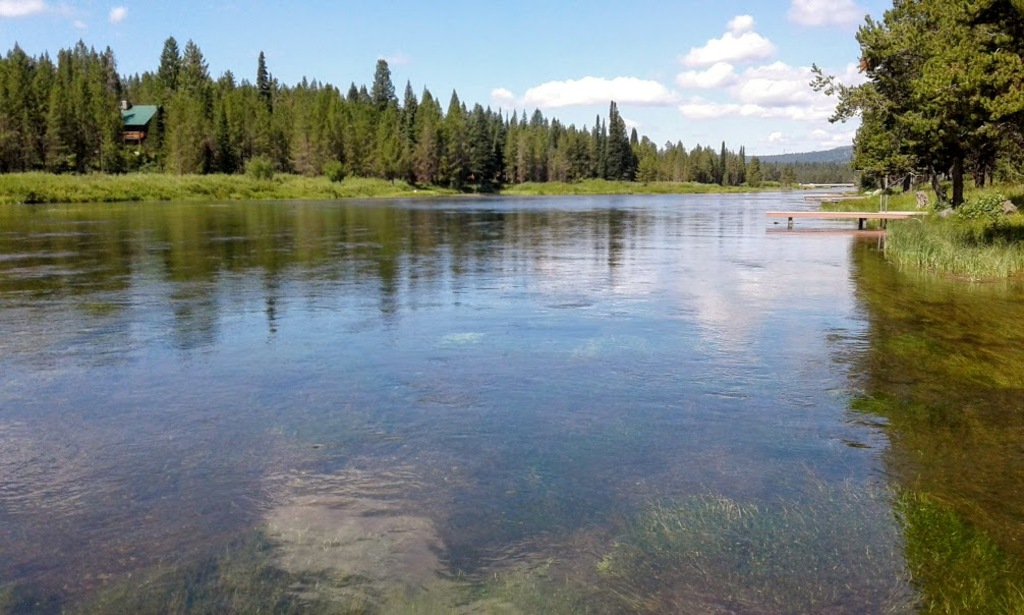 Snake River Island Park