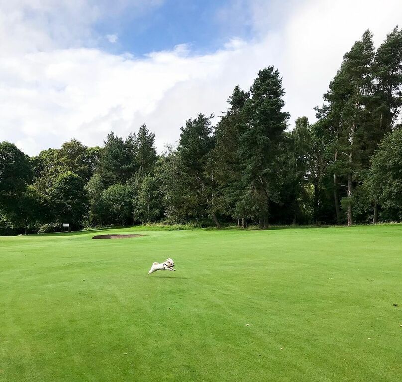 relax at camperdown country park