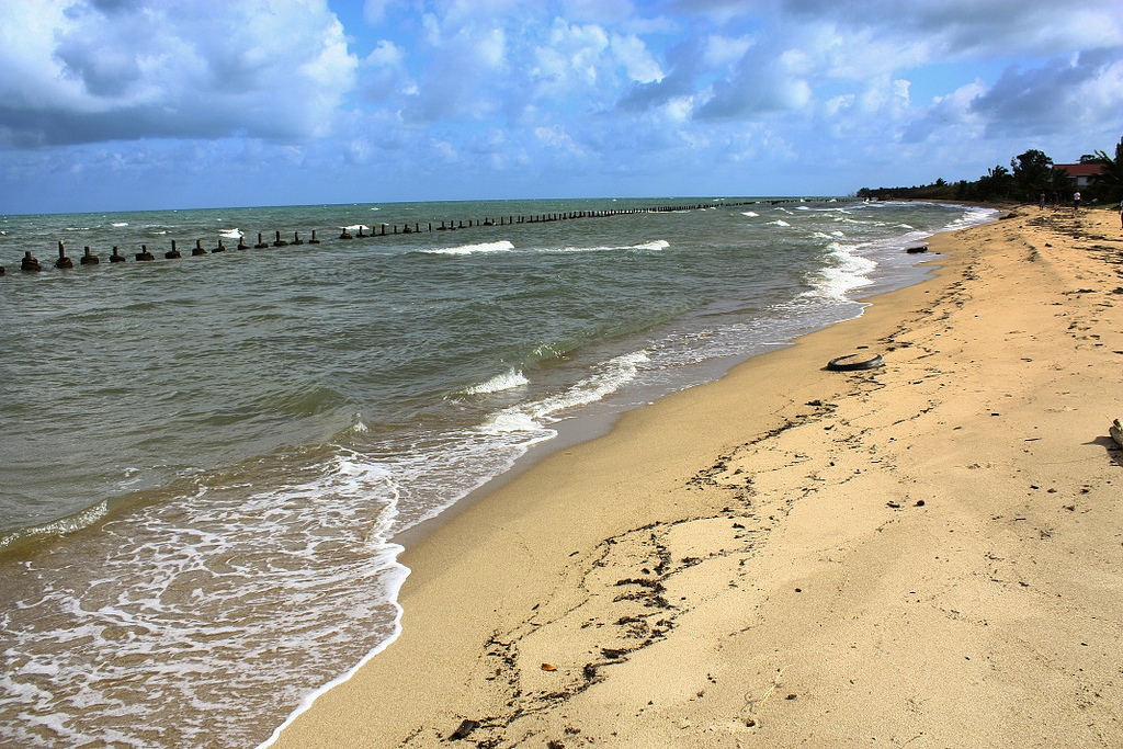 Monkey River Beach