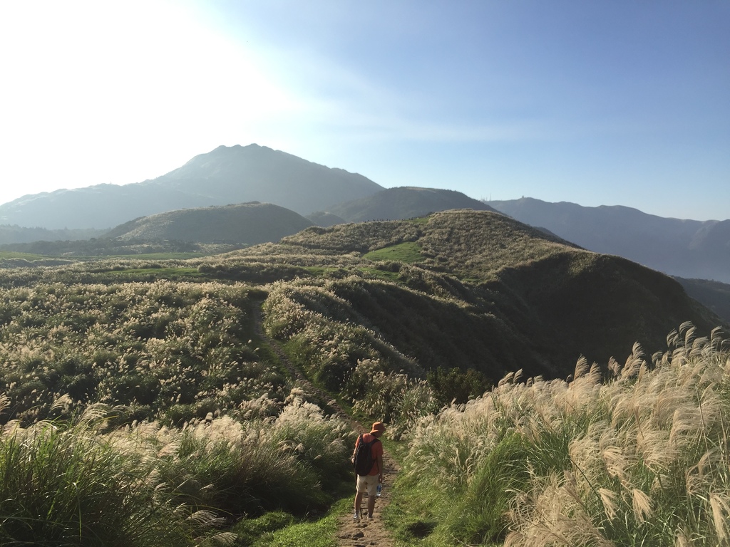 Yangmingshan National Park-jerry012320-1