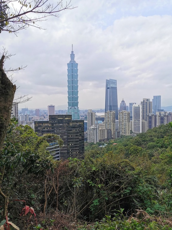 Elephant Mountain