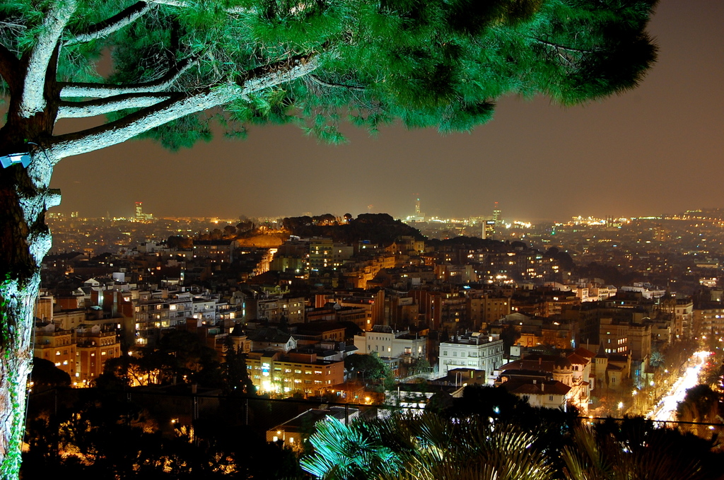 Barcelona bei Nacht vom Berg Montjuïc