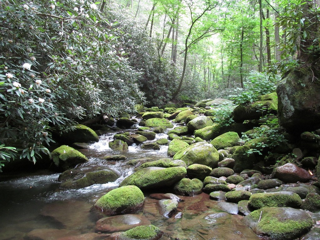 Smoky Mountains