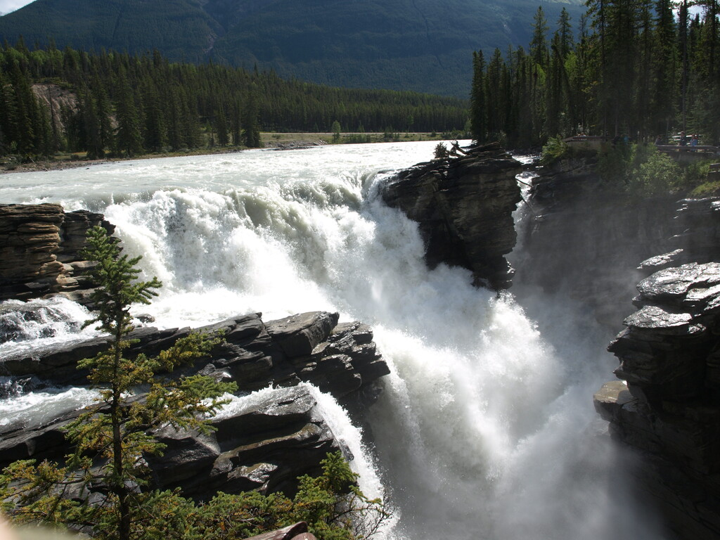 Athabasca Falls 2008