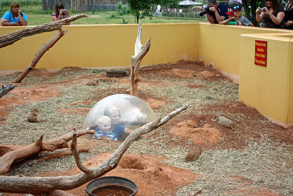 Prairie Dog Exhibit at Reptile Gardens, South Dakota