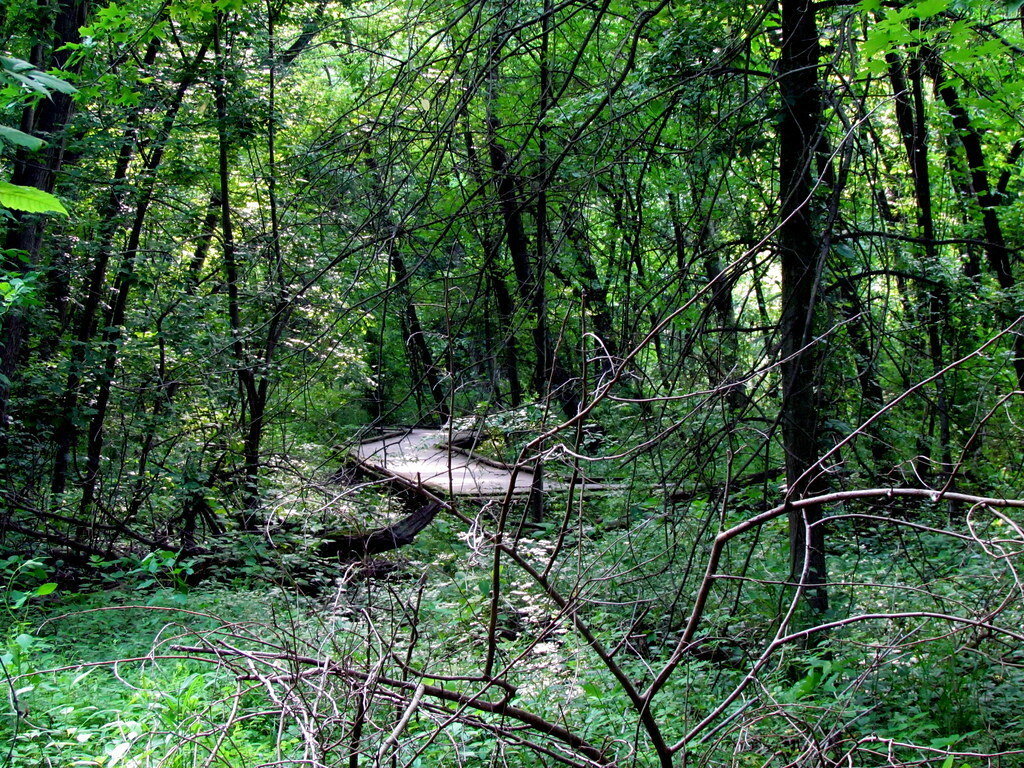 Wildwood Park Harrisburg PA 7539
