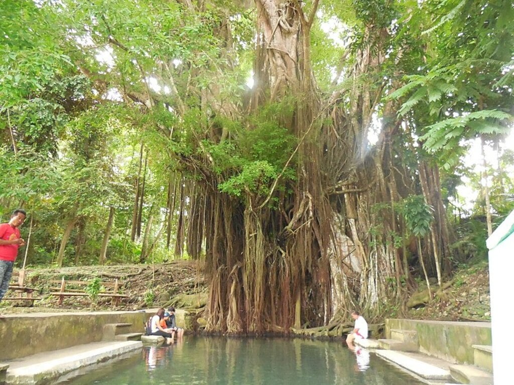 Enchanted Balete Tree in Lazi