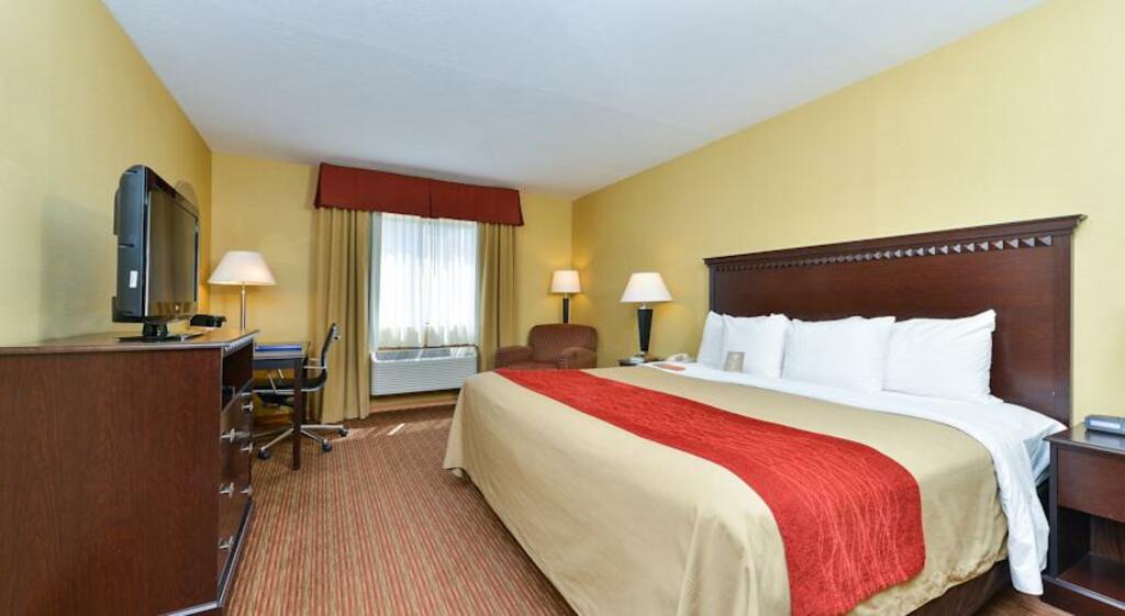 Comfort Inn Hotel-Greenville 