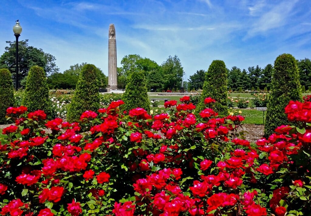 WalnutHillParkRoseGardenJune