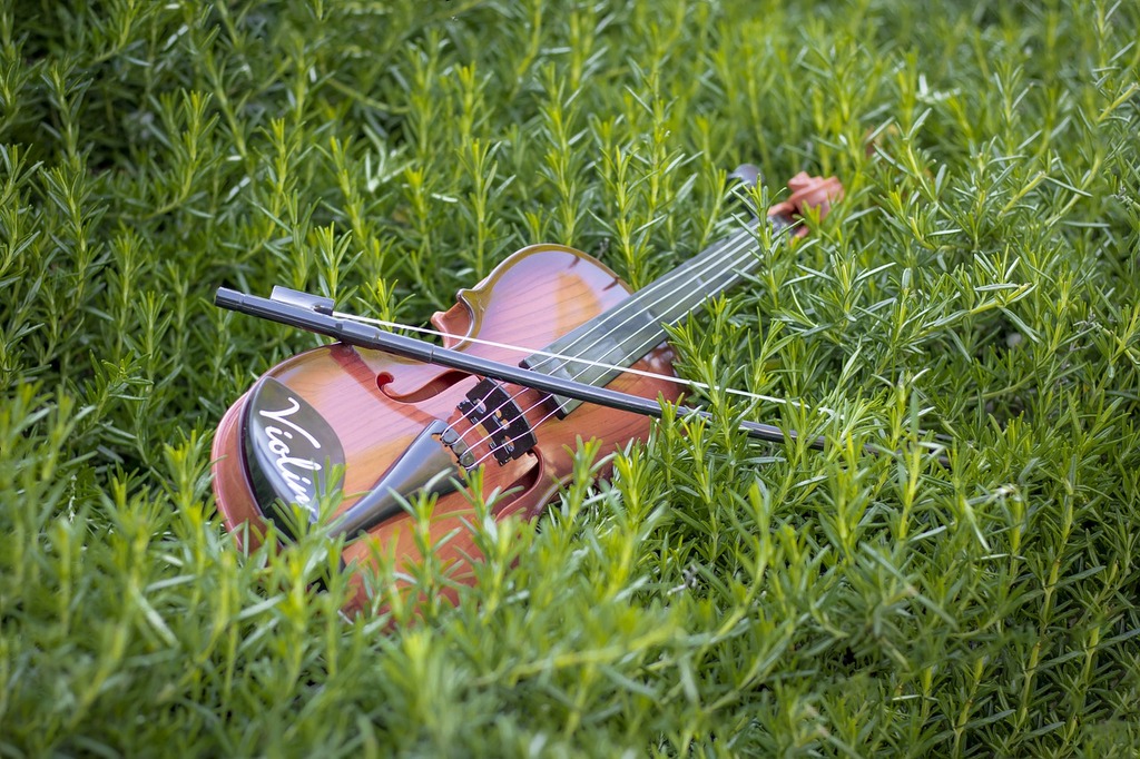 Violin in Grass