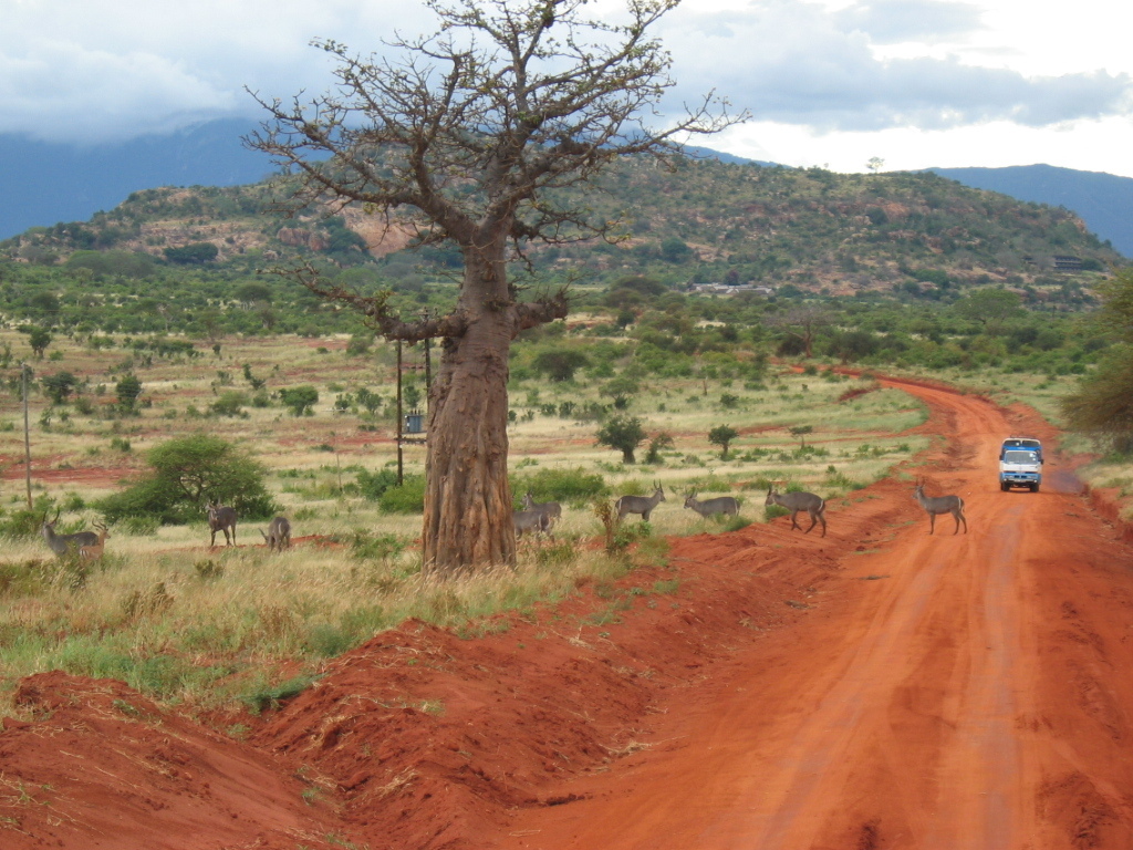 African safari route