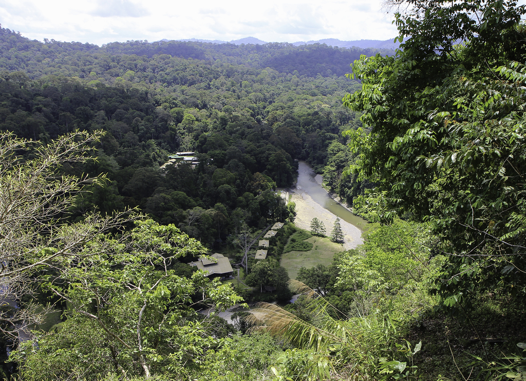 Borneo Rainforest Lodge