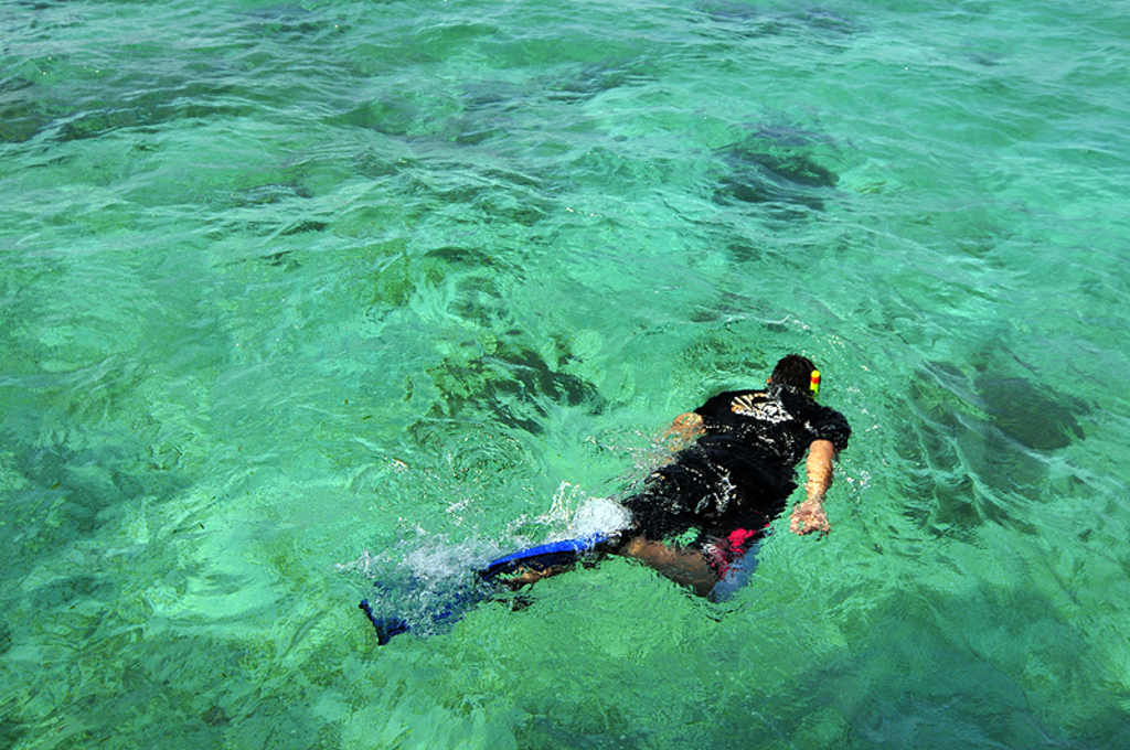 ND Snorkeling