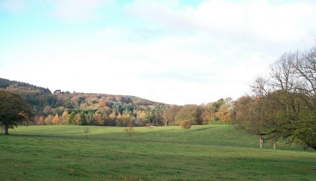 Woodland-Parkland boundary at Castlewellan Forest Park