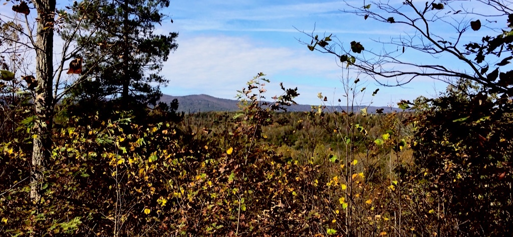 NB 10-19-20 Buck Hill Trail