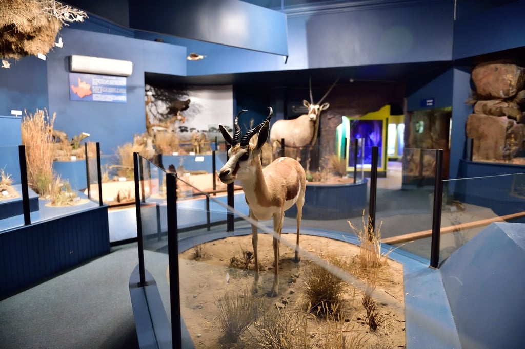 McGregor Museum, Kimberley, Northern Cape, South Africa (19919723834)