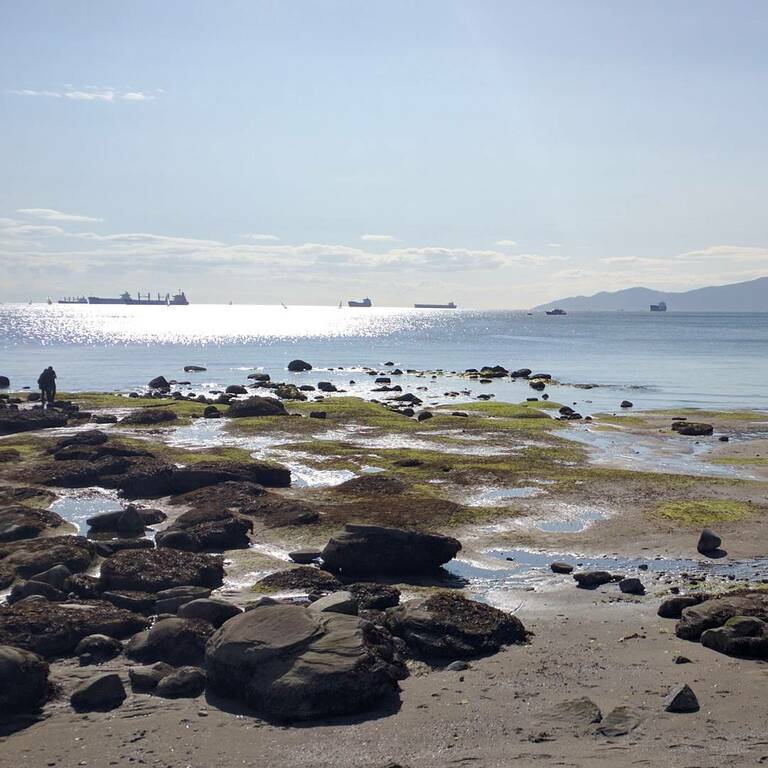 go for a leisurely swim at second beach or kitsilano beach