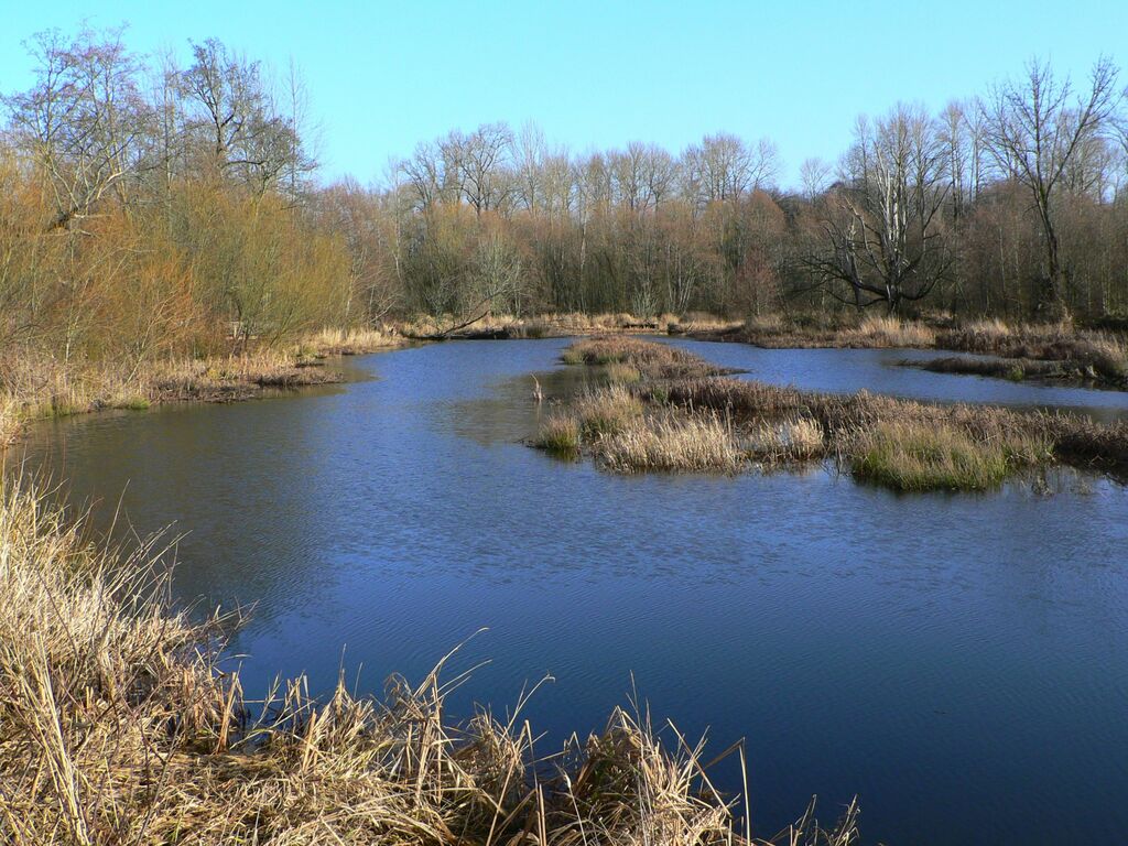 Nisqually NWR 28077