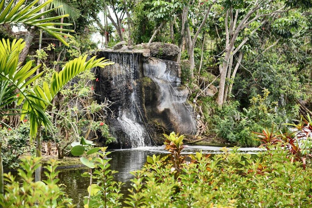 things to do in freeport | nature's paradise await you at garden of the groves