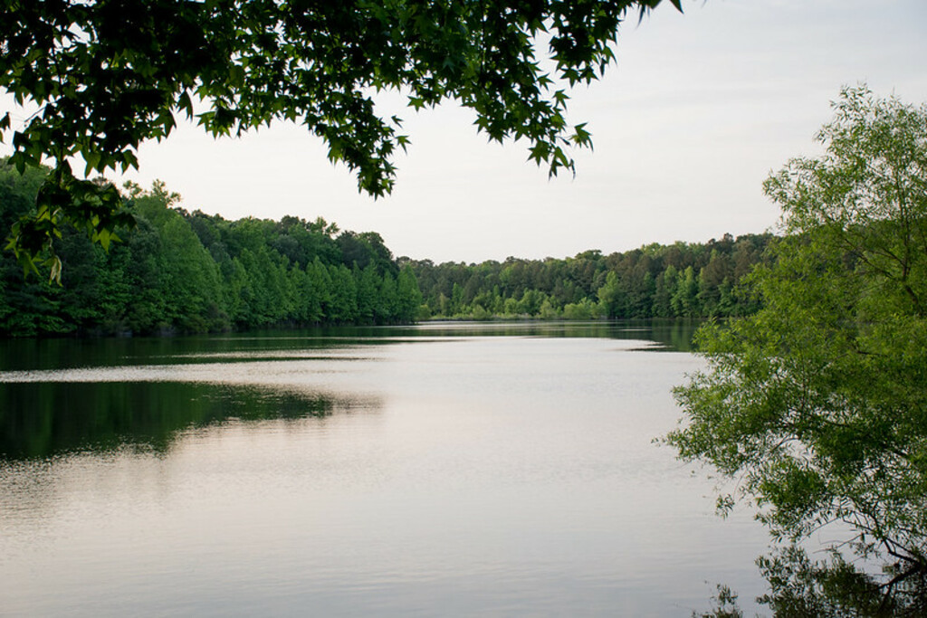 Sandy Bottom Nature Park