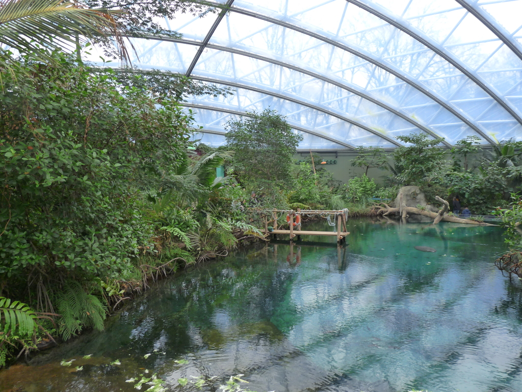 Burgers Zoo Arnhem 2019 1