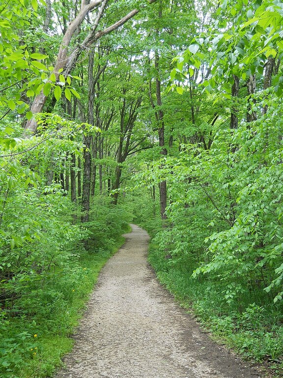 Leonard Springs Nature Park Trail - panoramio