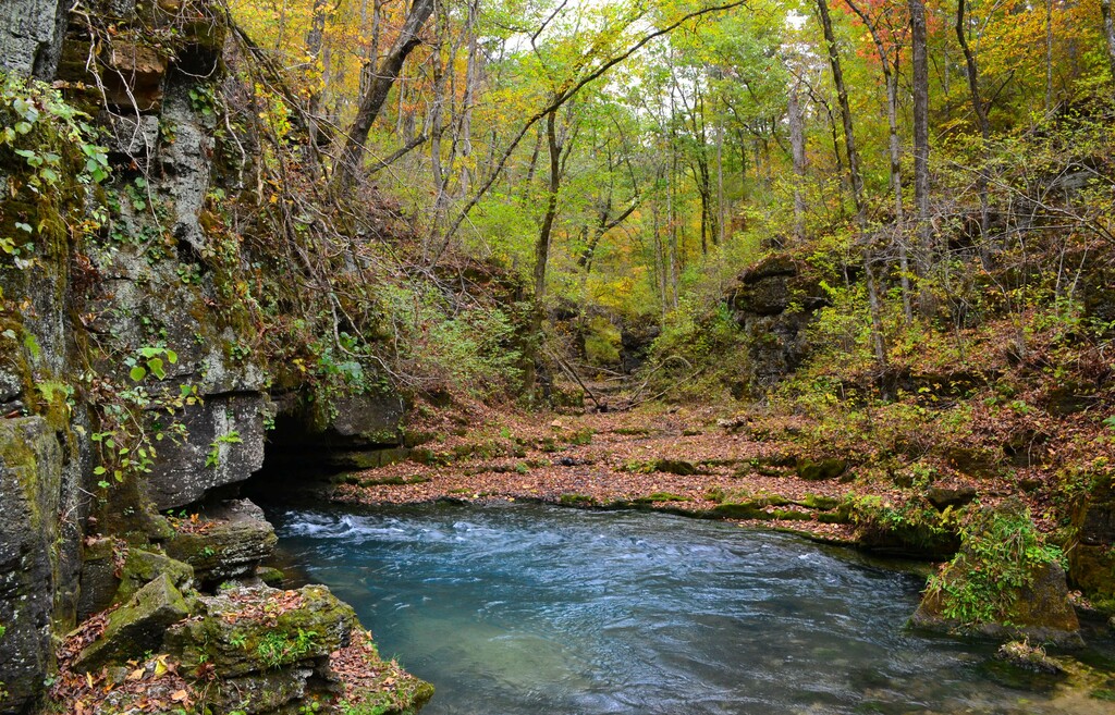 Greer Spring-Oct2013-067