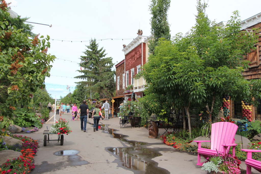 Saskatoon Berry farm Alberta Canada (14351751388)