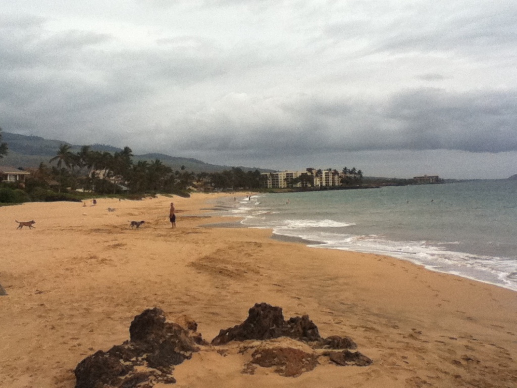 Kamaole Beach Park I