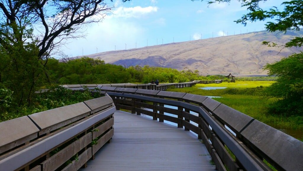 Kealia Pond National Wildlife Refuge in Maui, Hawaii