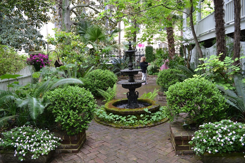 experience the historic city of savannah