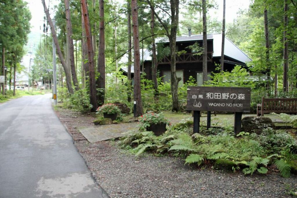 「和田野の森」へ足を延ばして樹林散歩を楽しもう