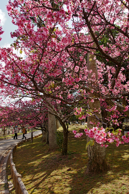 Yogi Park Naha