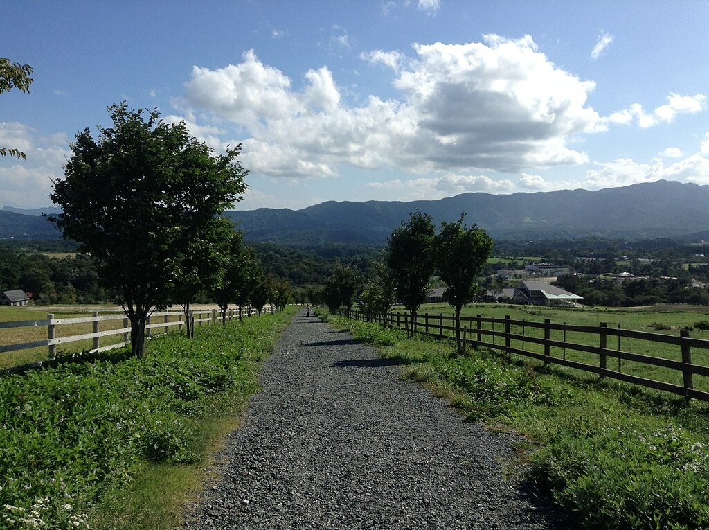 Hiruzennakafukuda, Maniwa, Okayama Prefecture 717-0501, Japan - panoramio (1)