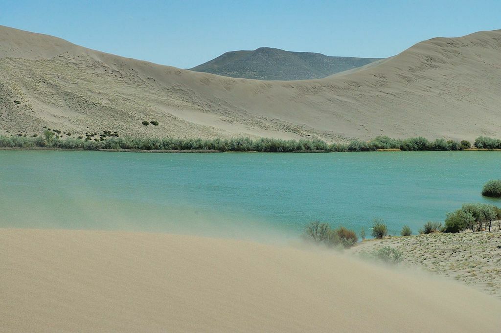 Bruneau sand dunes