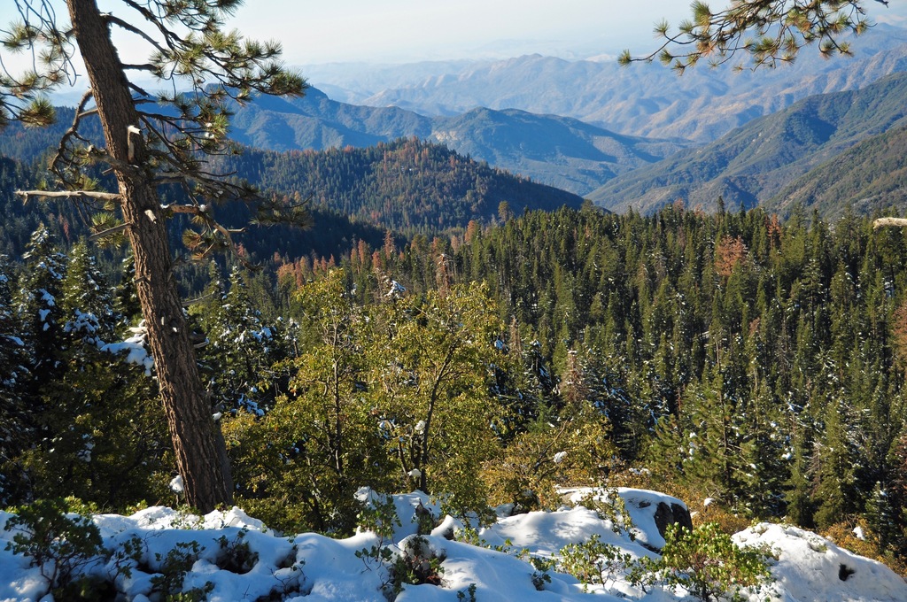 Sequoia National Park, California