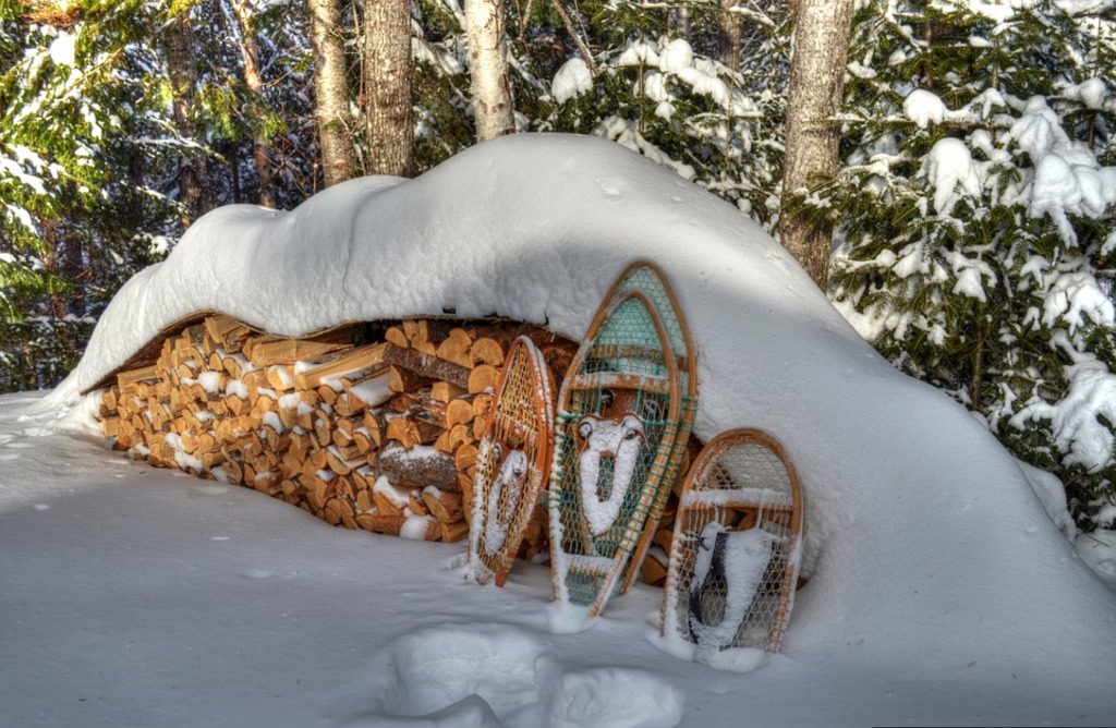 Snowshoeing