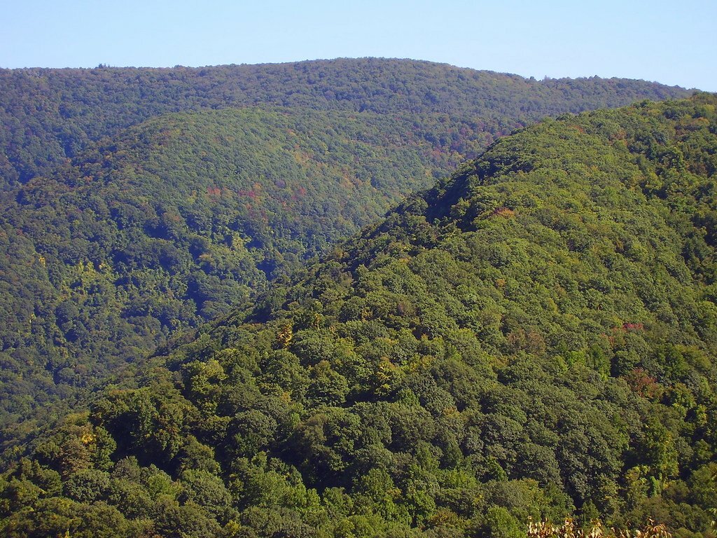 Ohiopyle State Park Folds