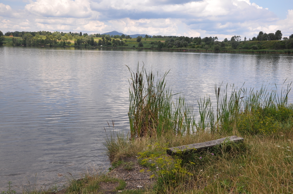 Lake Kočevje