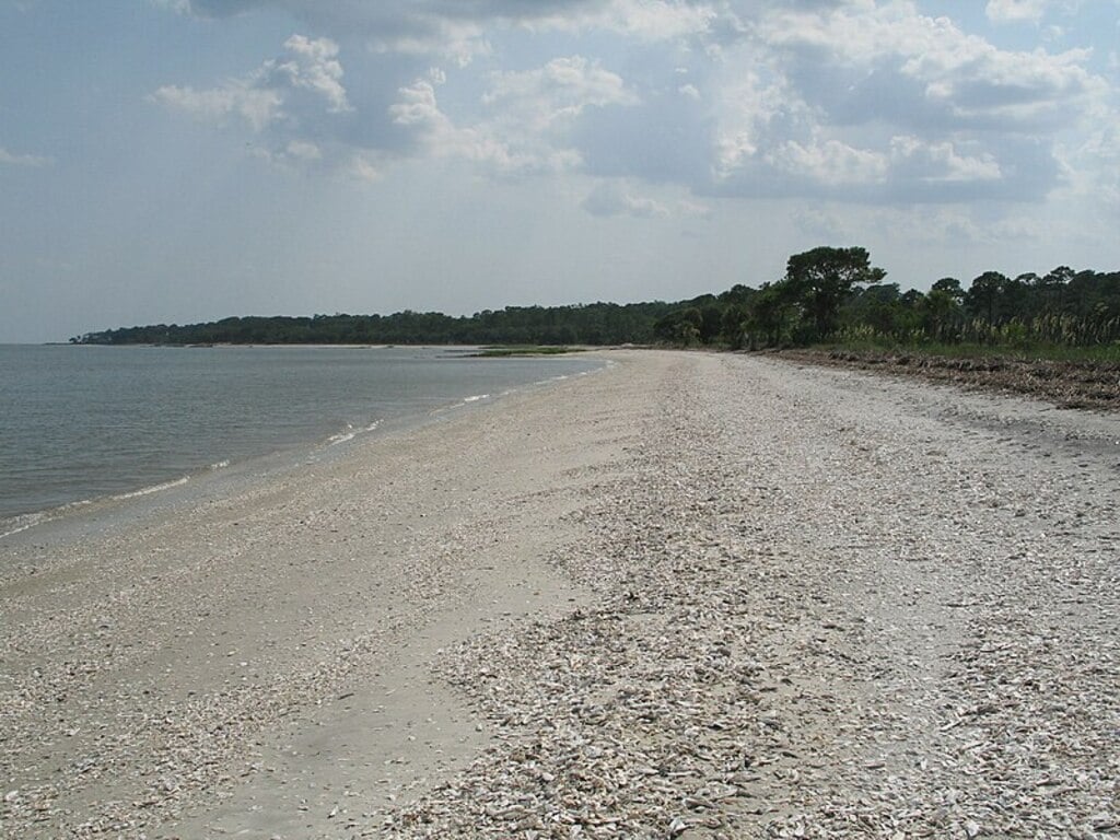 Daufuskie Island - shell beach