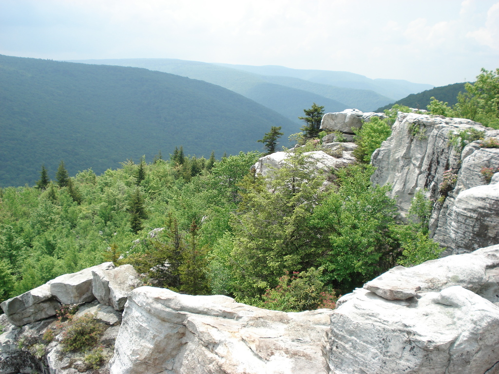 Dolly Sods