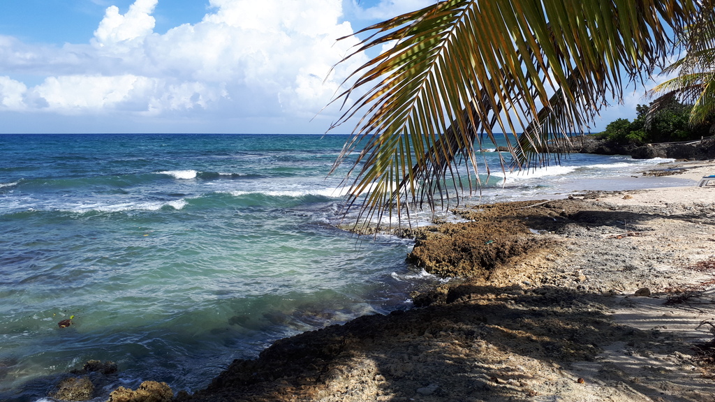 Montego Bay