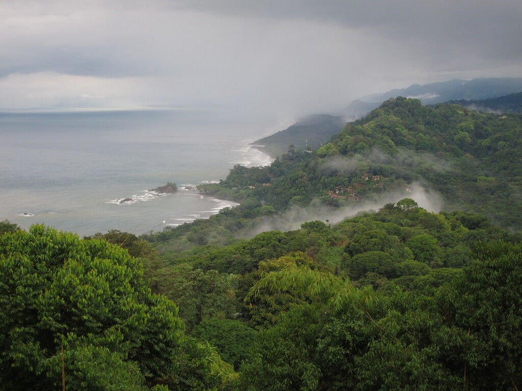 Morning Fog over Dominical Beach