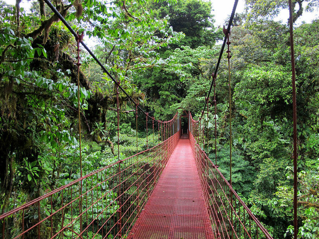 Monteverde Bridge